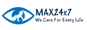 MAX24x7logo